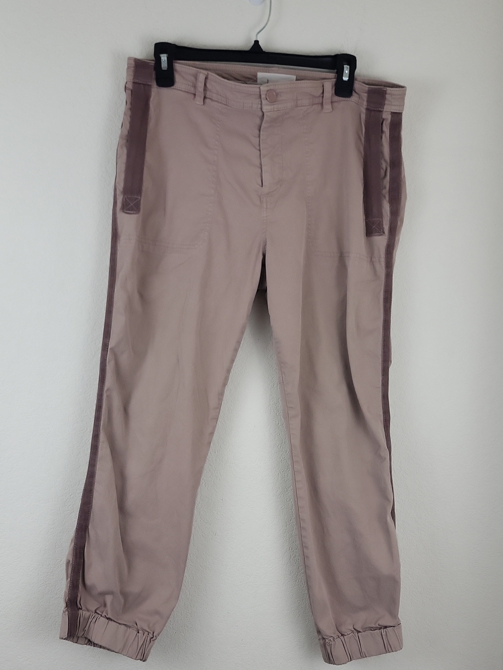 Anthropologie "The Richie" jogger pants Dusty Rose Size 12
